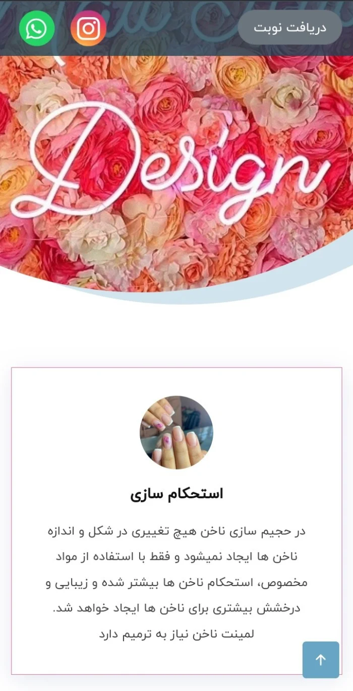 طراحی سایت نوبت دهی سالن ناخن Ani Nailart